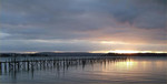 DSCF1782_Large.thumb.jpg