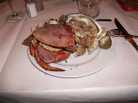 crab starter crab starter