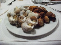 whelks and snails