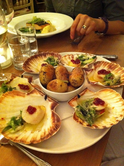 Number 9 restaurant, Wimborne - scallops